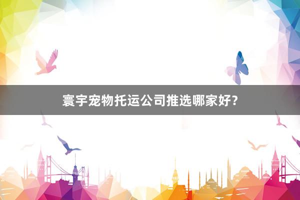 寰宇宠物托运公司推选哪家好？